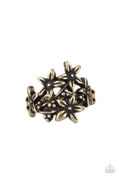 Prairie Primrose - Brass Paparazzi Ring