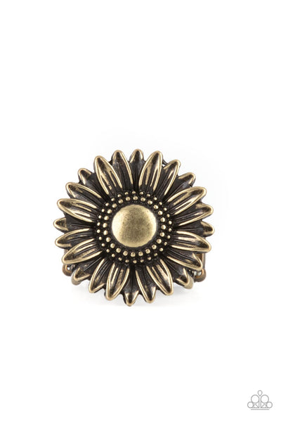 Farmstead Fashion - Brass Paparazzi Ring