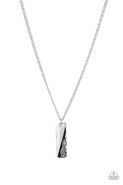 Tag Along Silver Paparazzi Necklace